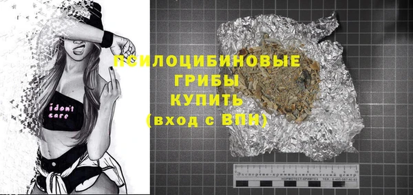 молекула духа Алексин
