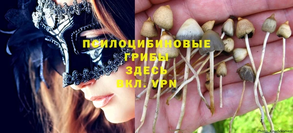 круглые Алексеевка