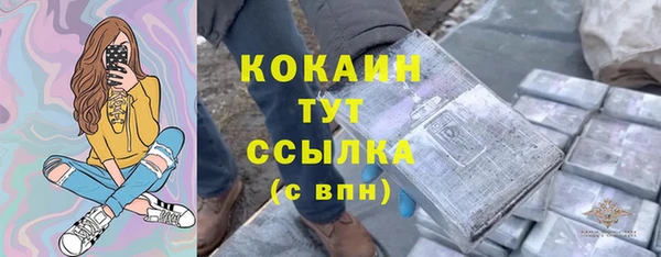 молекула духа Алексин